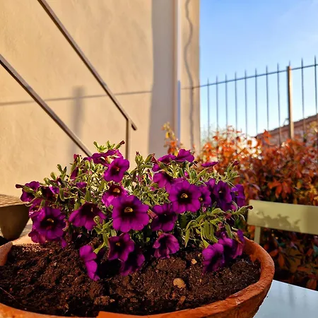 Apartment Casa Teresa